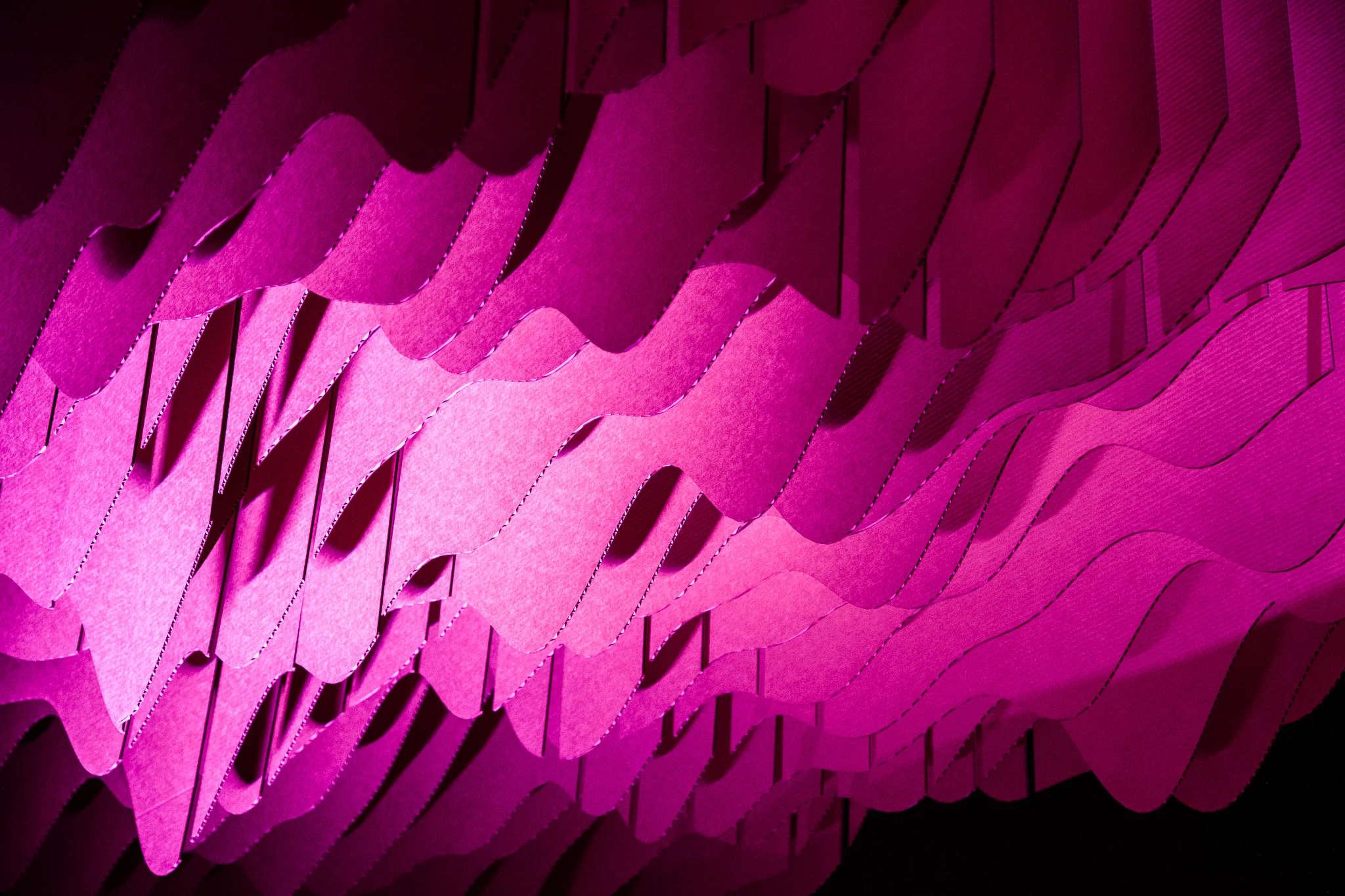 LR_MTRL DSGN_Omaha Symphony_190413_9565.jpg