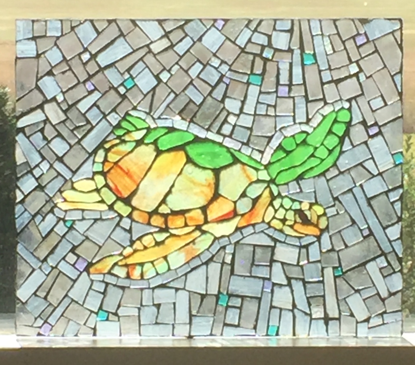 Radiant Sea Turtle