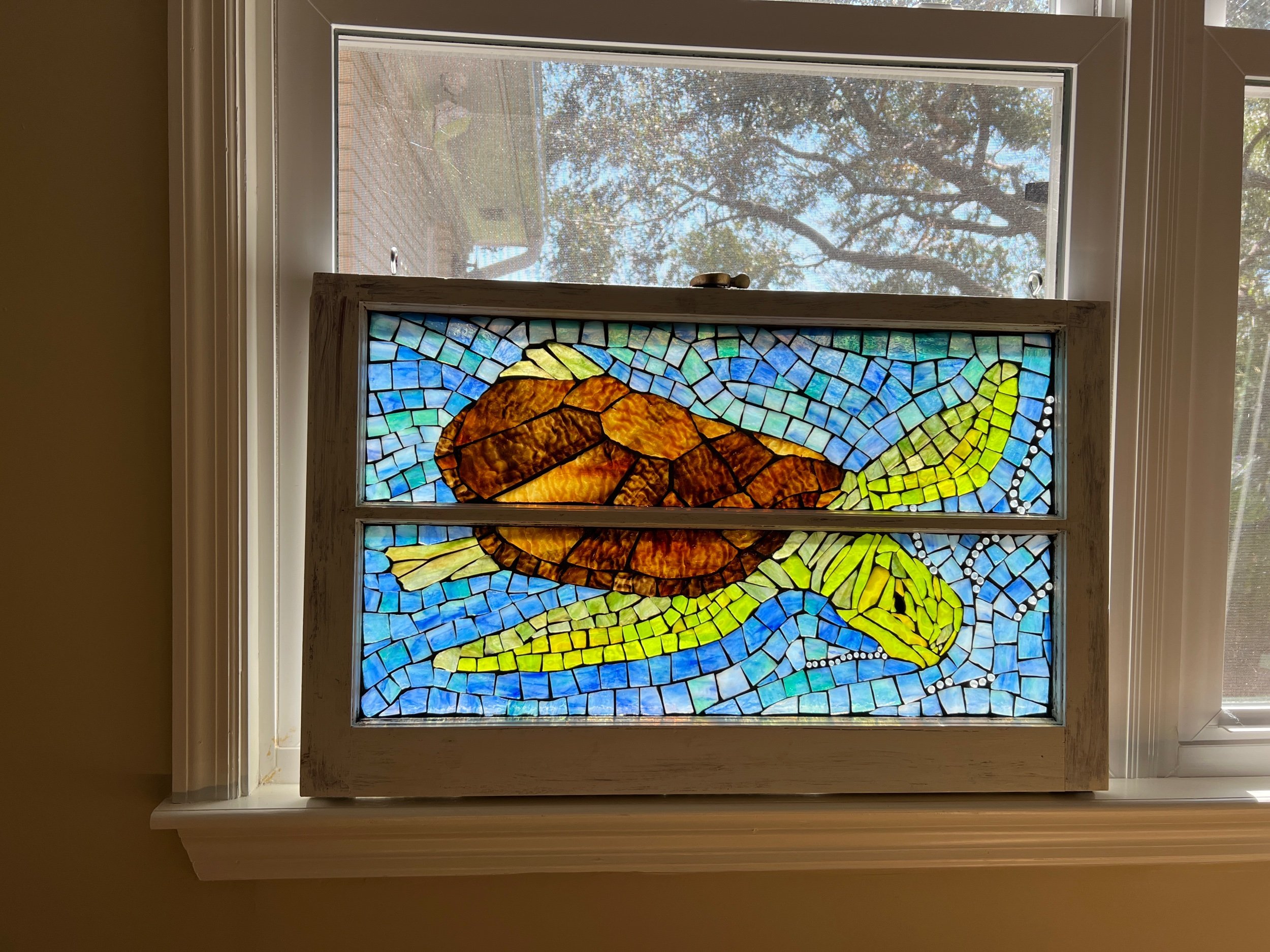 Roscoe Takes a Swim (Copy)