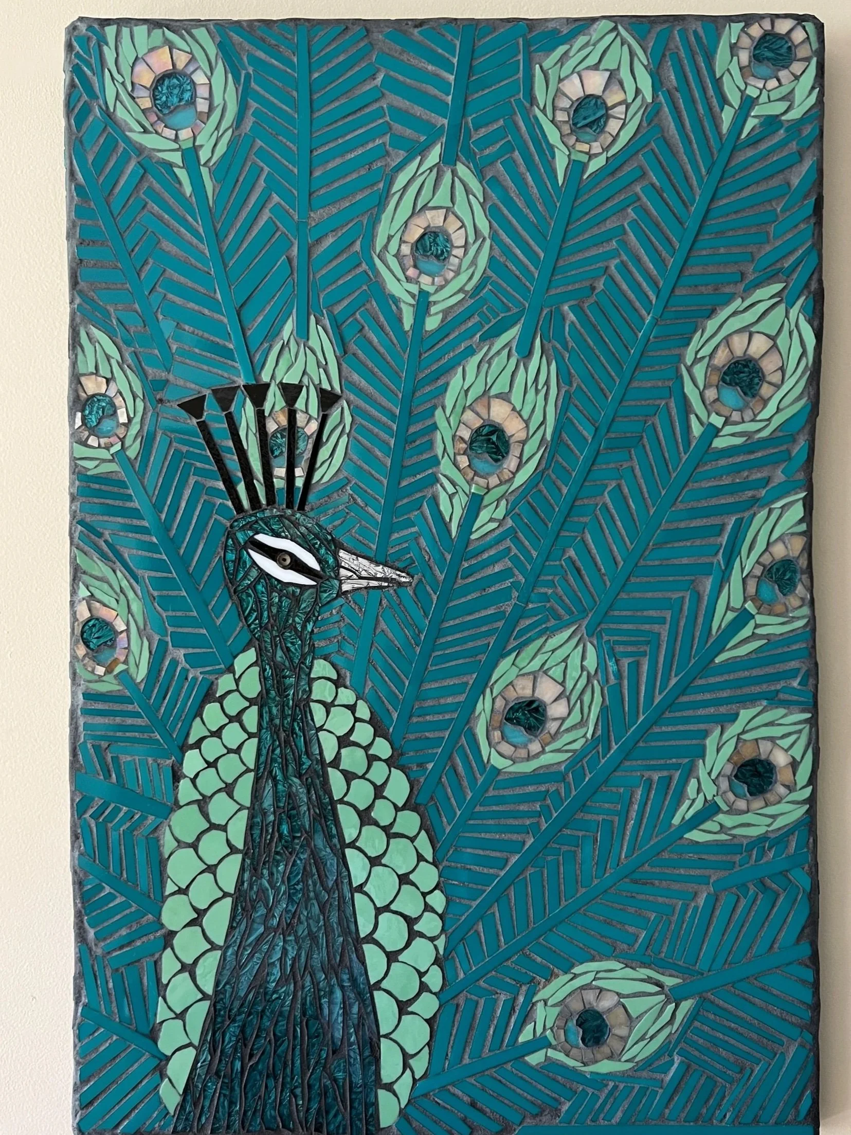 Pavo Peacock