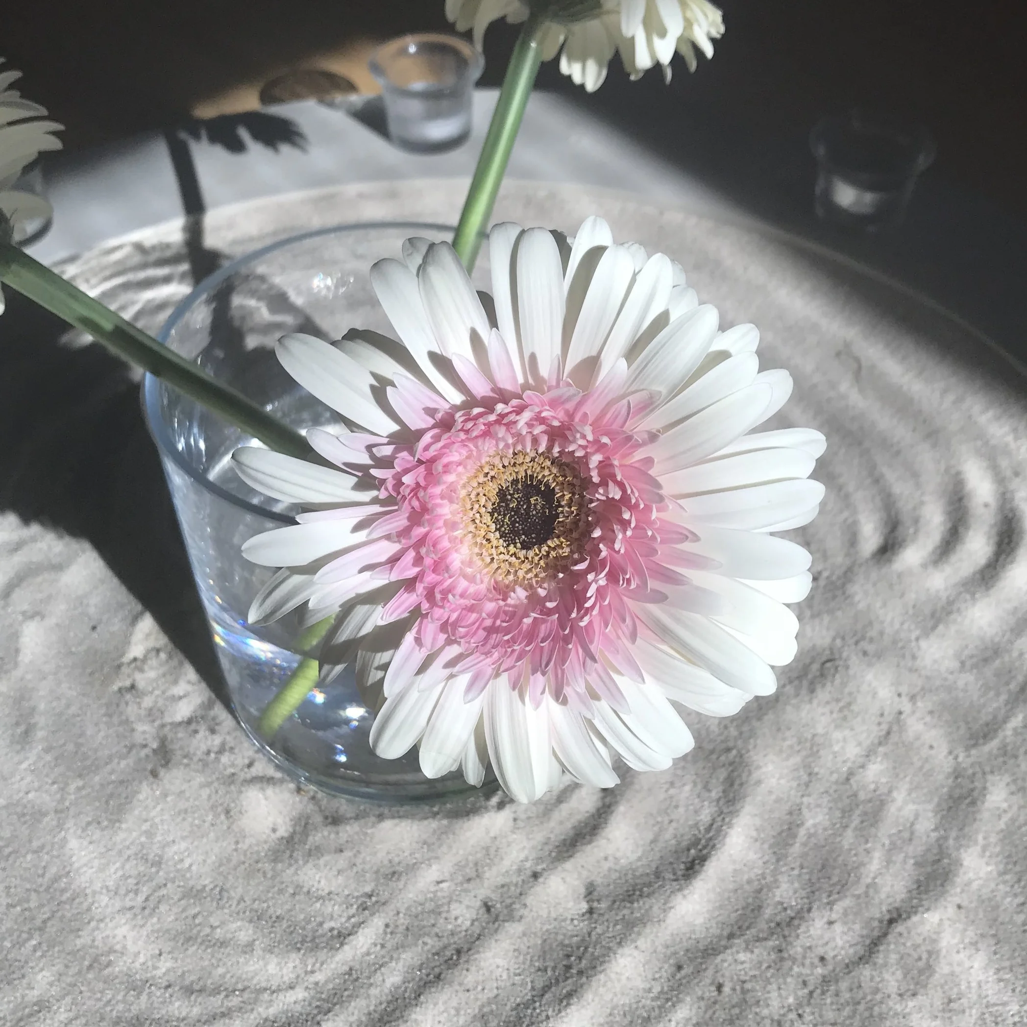 Pinkflower.jpg