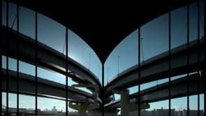 LEXUS / BRIDGE