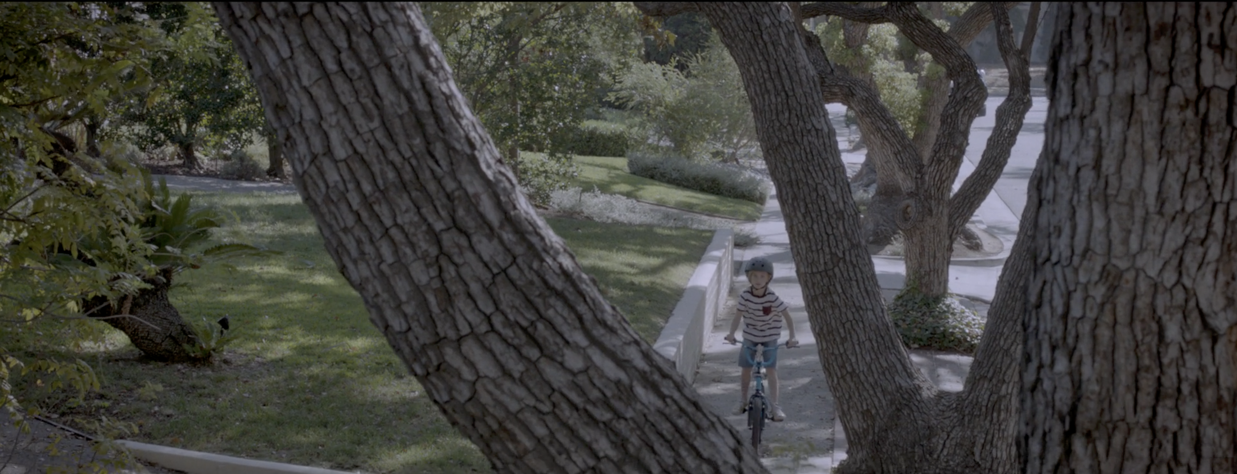 WELLMARK BLUE CROSS / DEAR FUTURE NEW BIKE