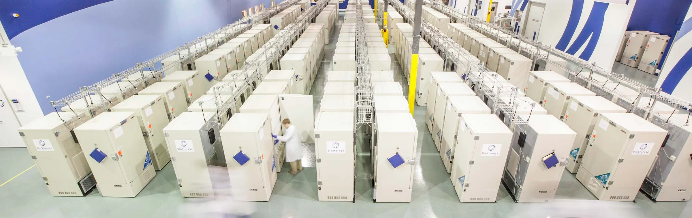 Where my IPS cells ended up -- Biostorage Technologies. Looks cold in there (and very quiet and peaceful) for my cells to rest.