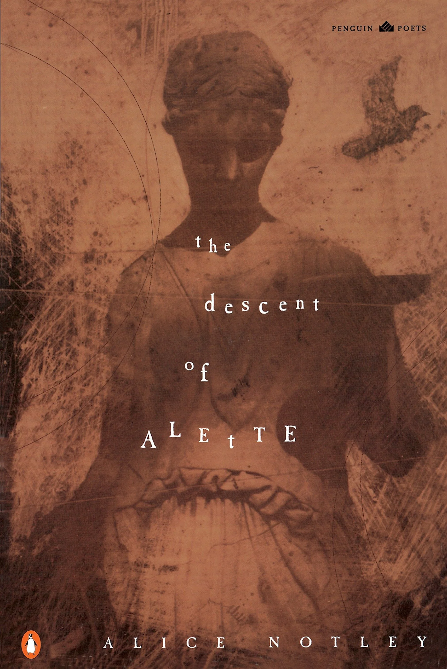 alette.jpg