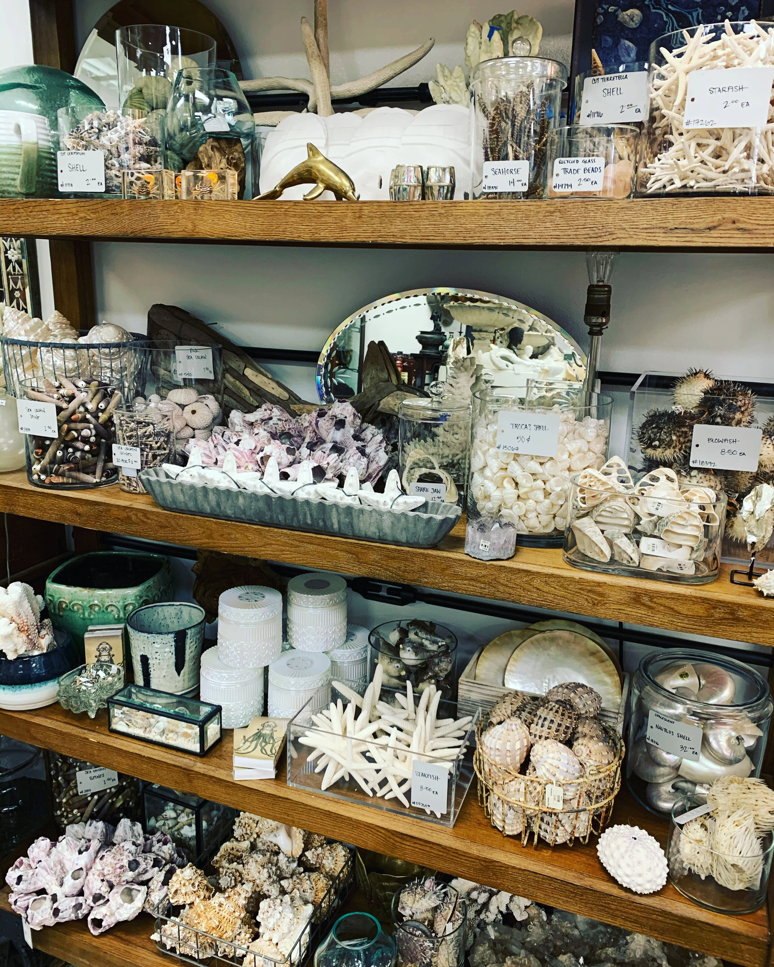 After a longer-than-anticipated closure, Houghton Hill reopens in midtown