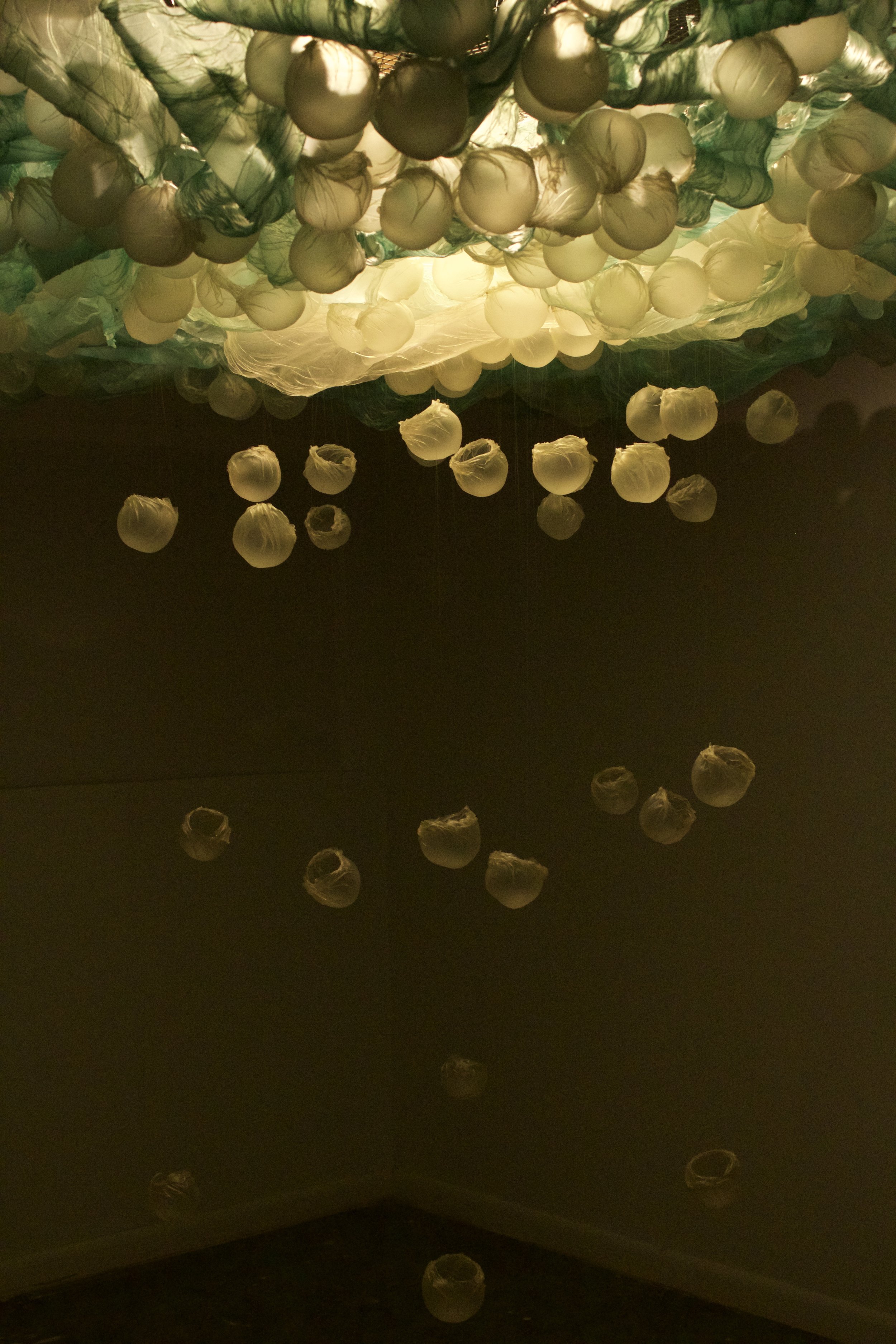 A View From Below