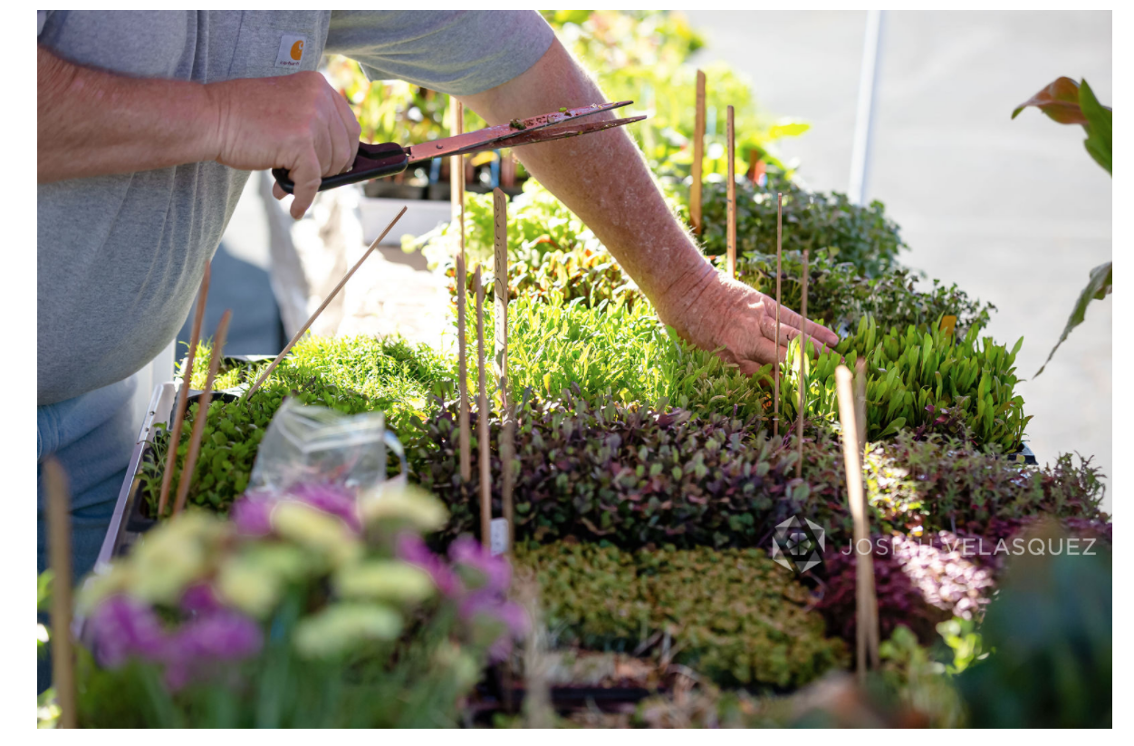 Screenshot #5 farmers mkt.png