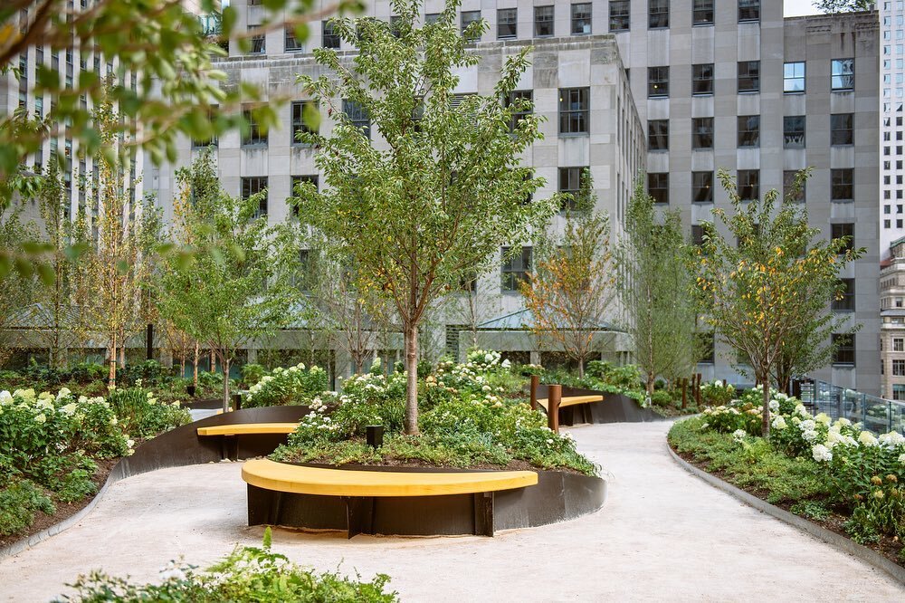 There's a new park in Rockefeller Center! On top of Radio City Music Hall, a new oasis has opened. The half-acre landscape was created as a community amenity for the Rockefeller Center. This is a one-of-a-kind urban experience that offers a variety o