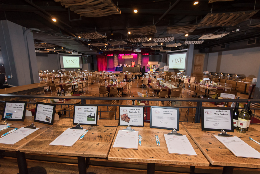 On-Site Management-Silent Auction 1.JPG