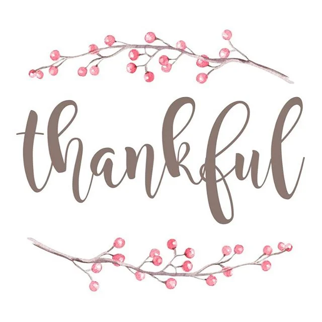 Happy Thanksgiving! We are so very thankful for all of you: talented vendor partners, gracious clients, and our insanely hardworking team!