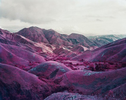 Interview: Richard Mosse