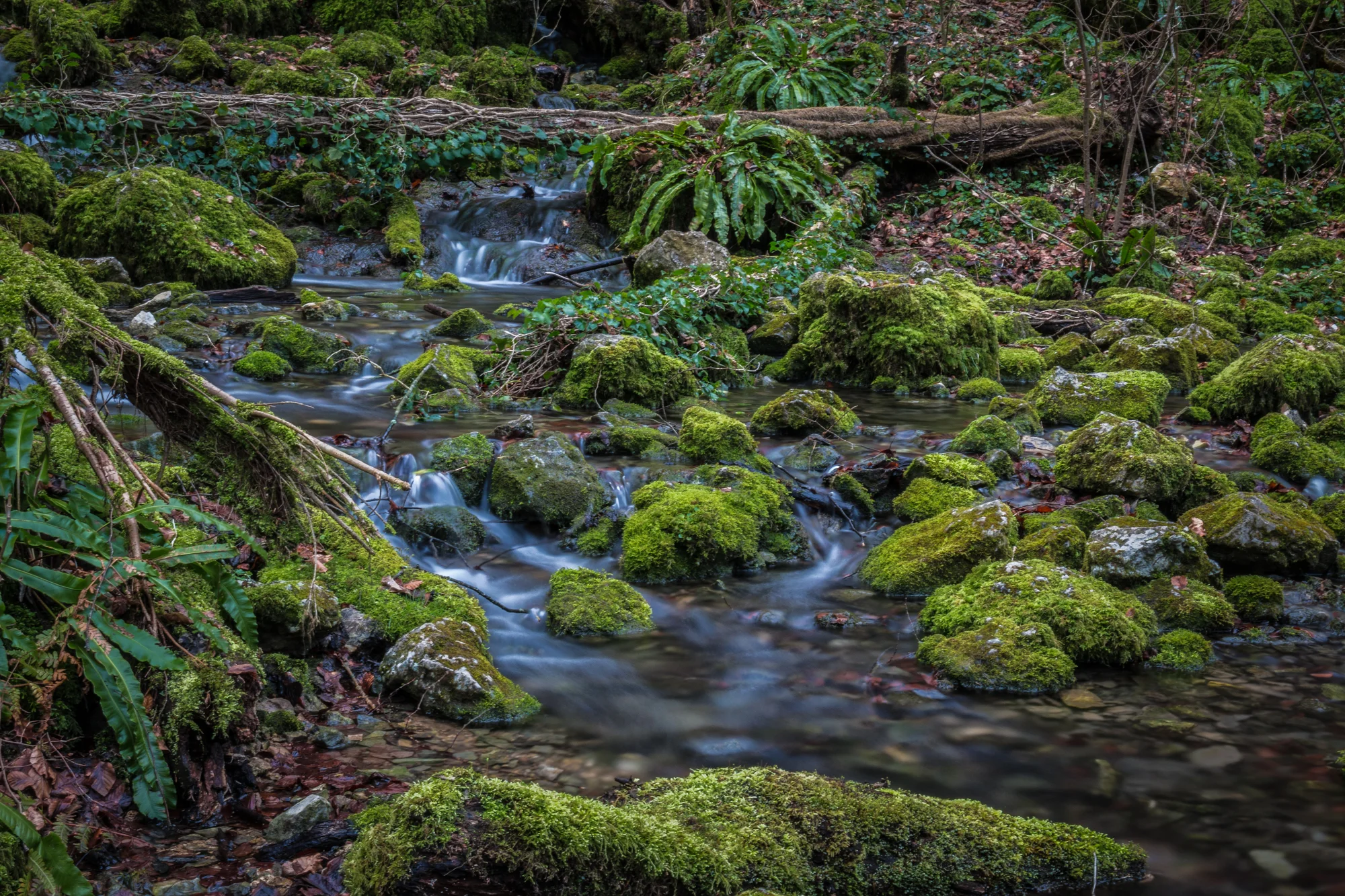 LANDSCHAFTSFOTOGRAFIE // BAD URACH WASSERFÄLLE