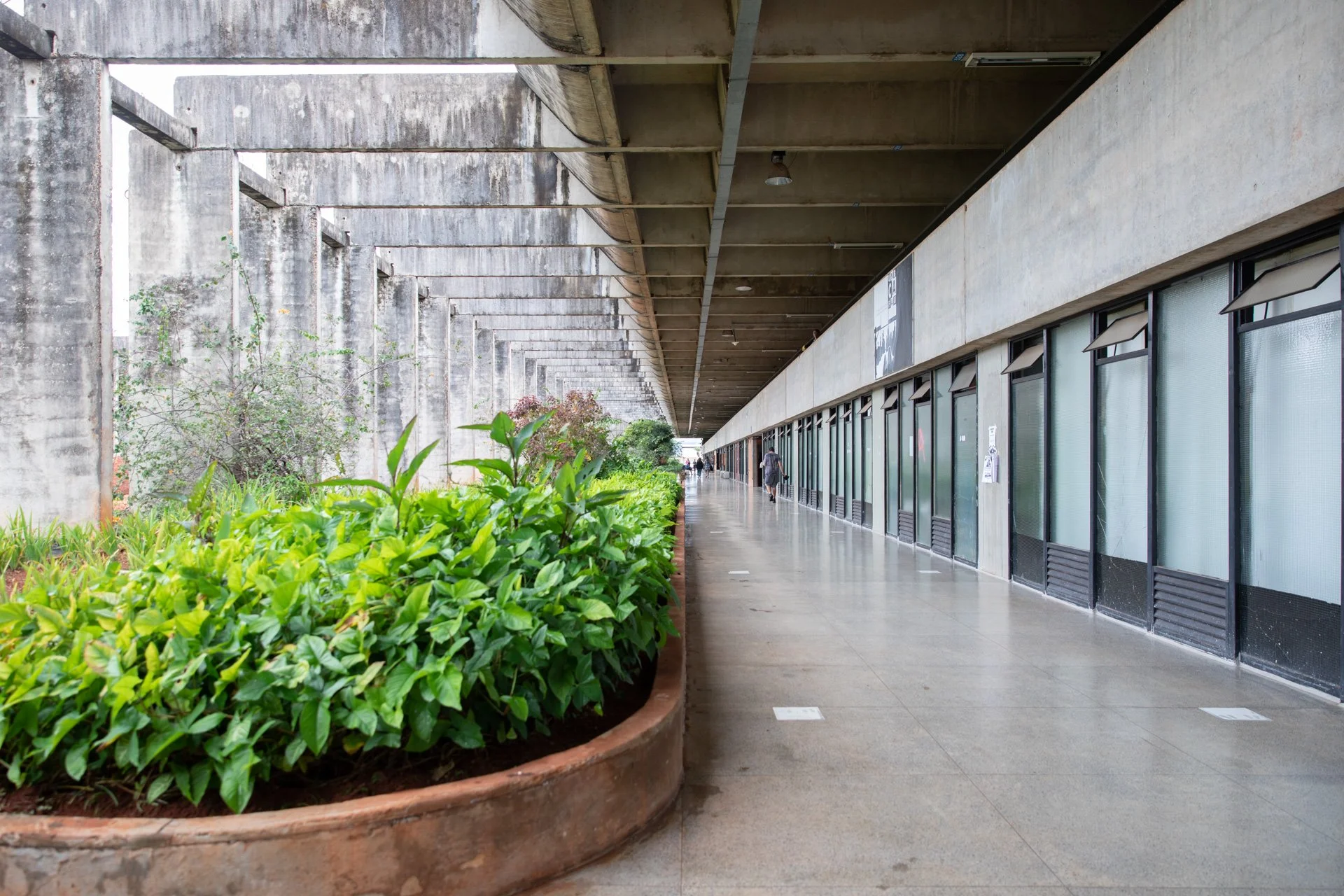 Insight Architecture - Universidade Brasilia - Oscar Niemeyer - Brazil.jpg