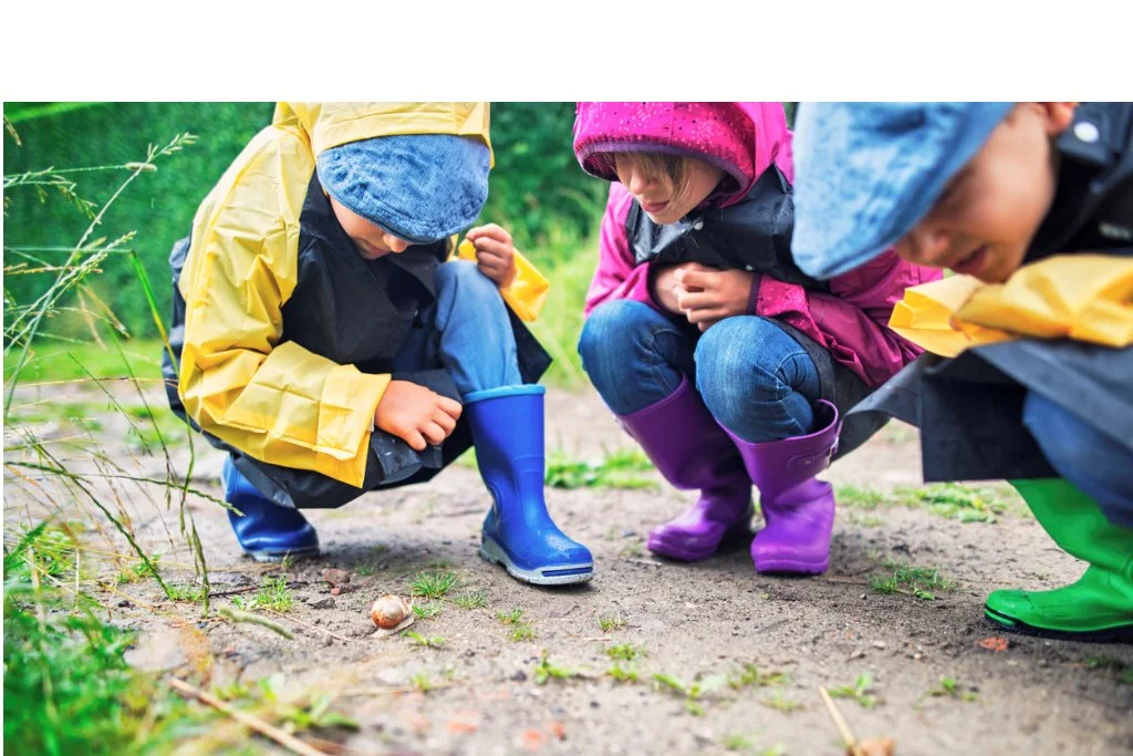 iStock - kids-hikers-observing-a-snail-picture-id646813i012.jpg