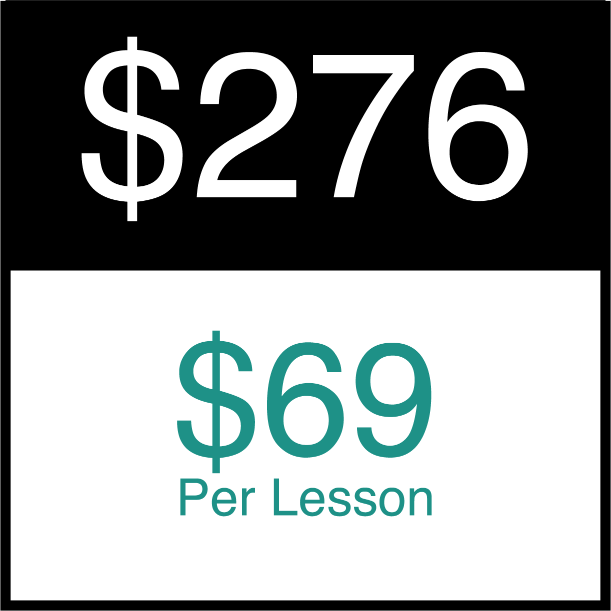 1 Hour Online Lesson (4 Lesson Package)