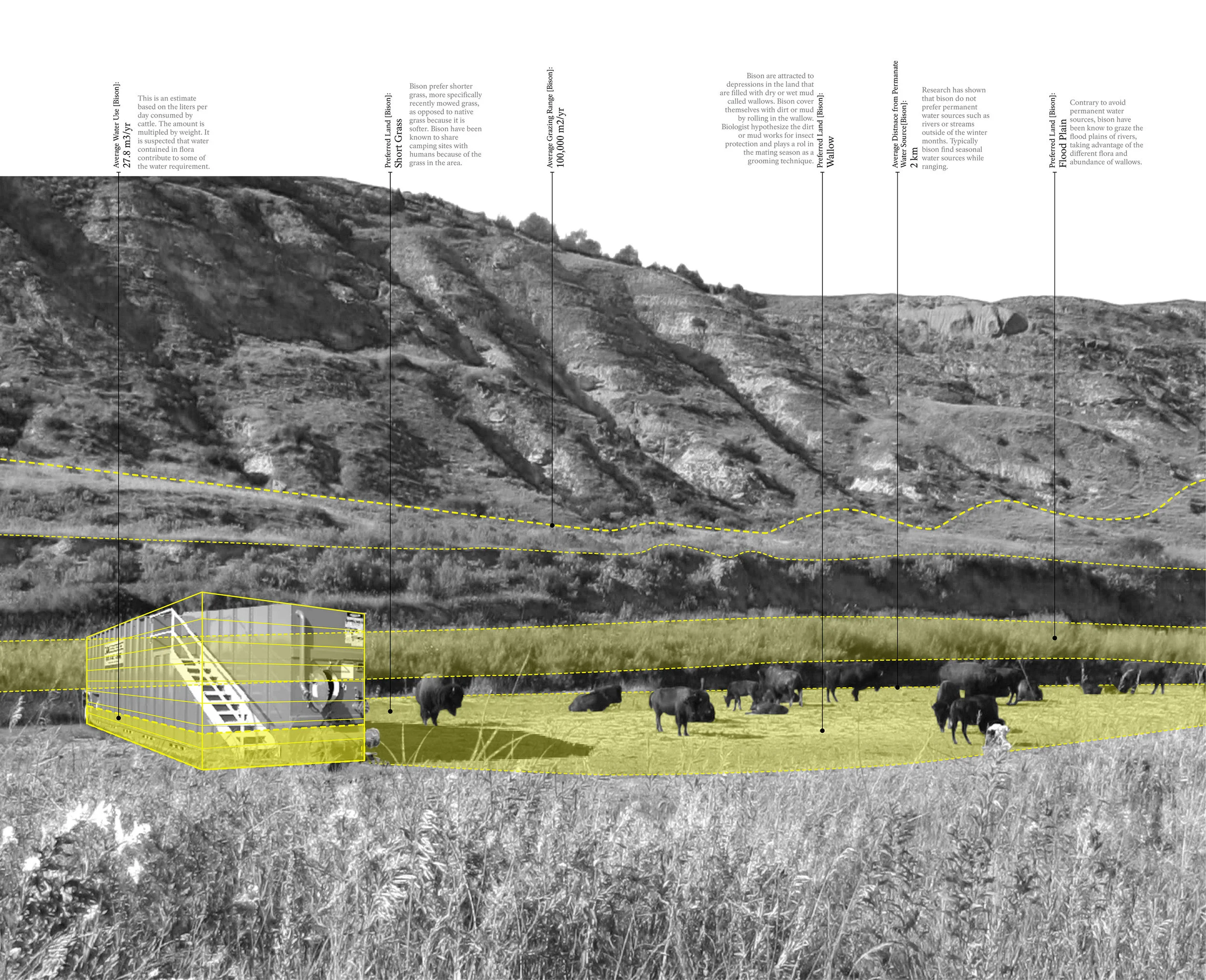BISON HABITAT