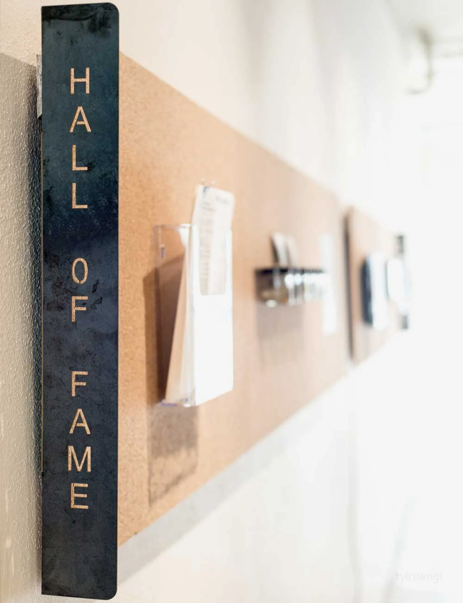DISPLAY FOR HALL OF FAME