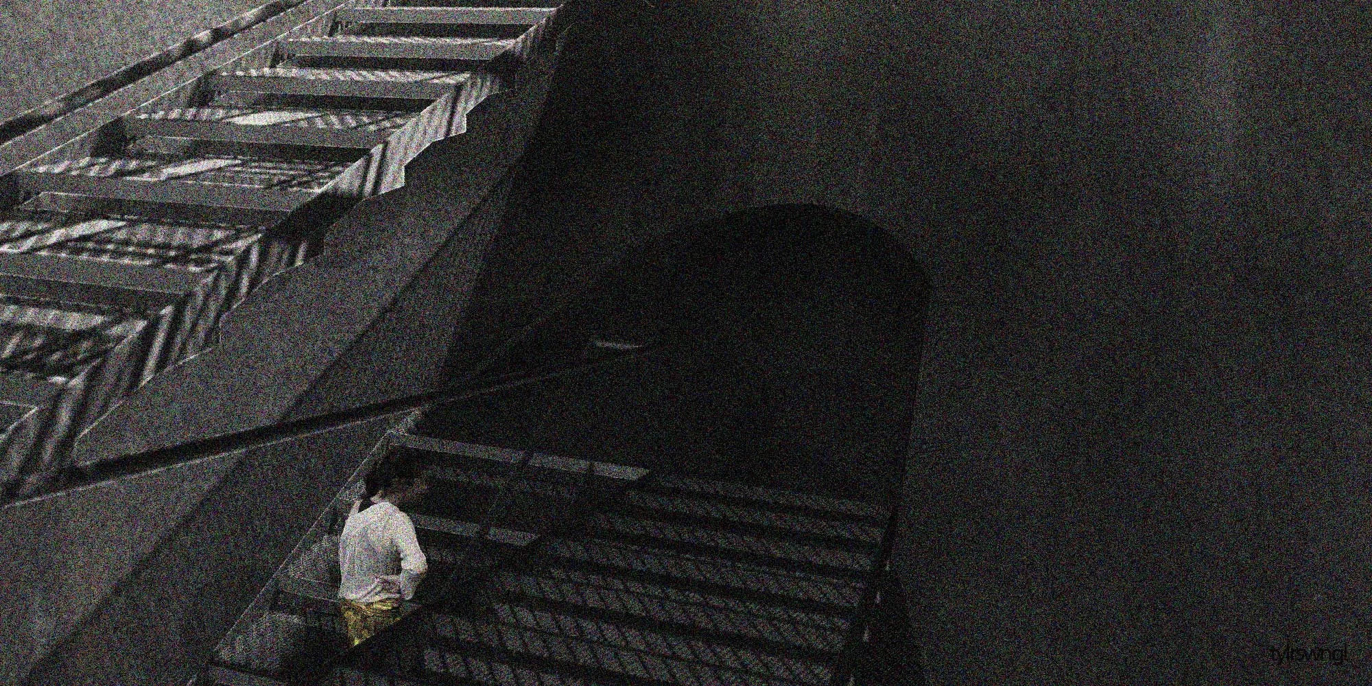 tylrswngl-pp-19.jpg