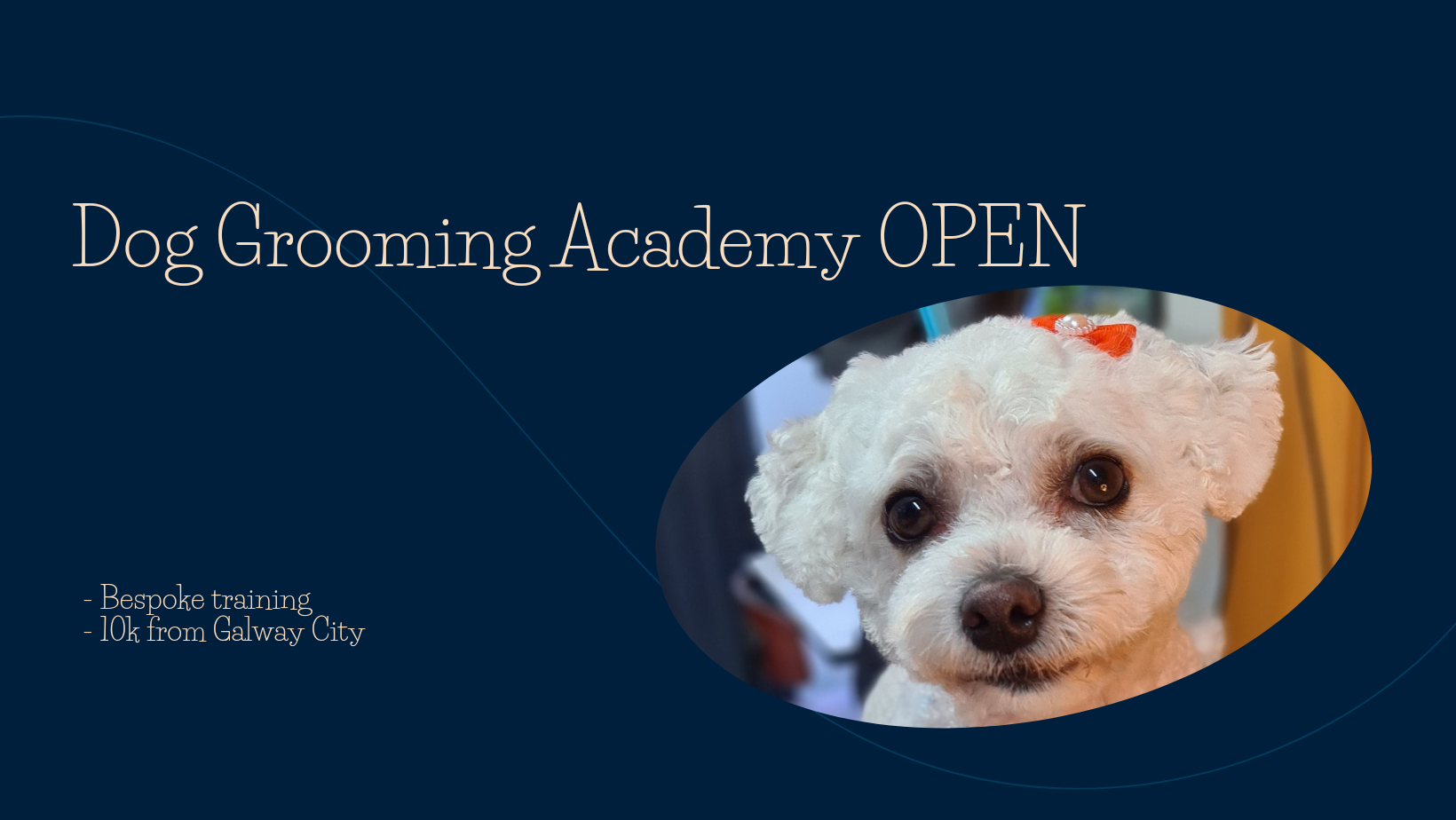 Bubbles and Barks Dog Grooming and The Smart Groomer Tutor Training