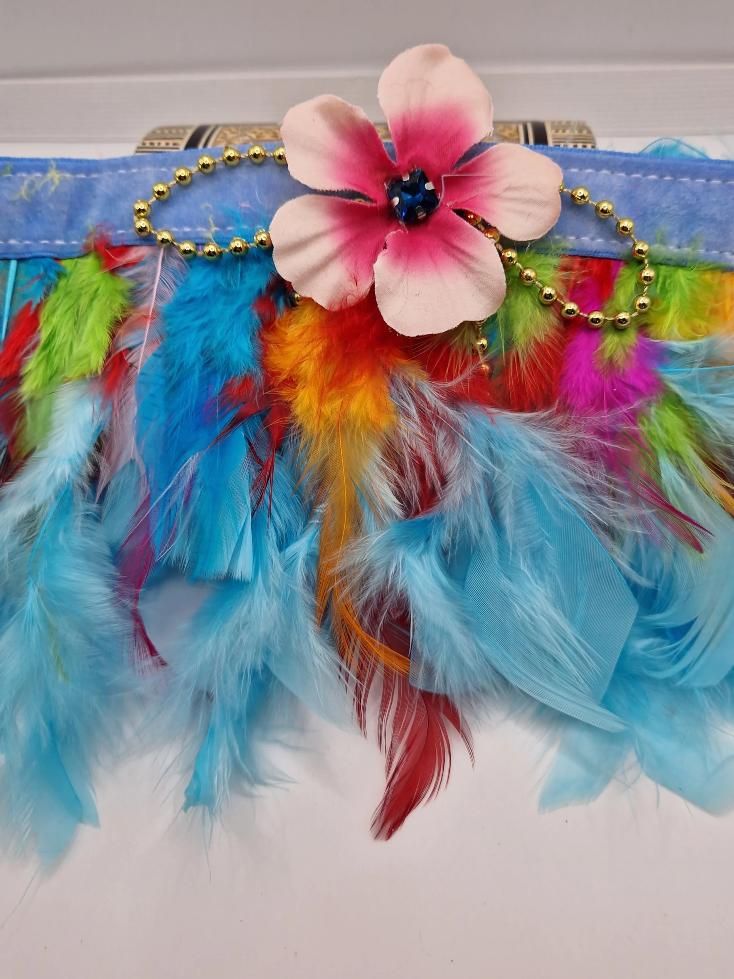 Vibrant Fiesta Feather Dog Collar Frill