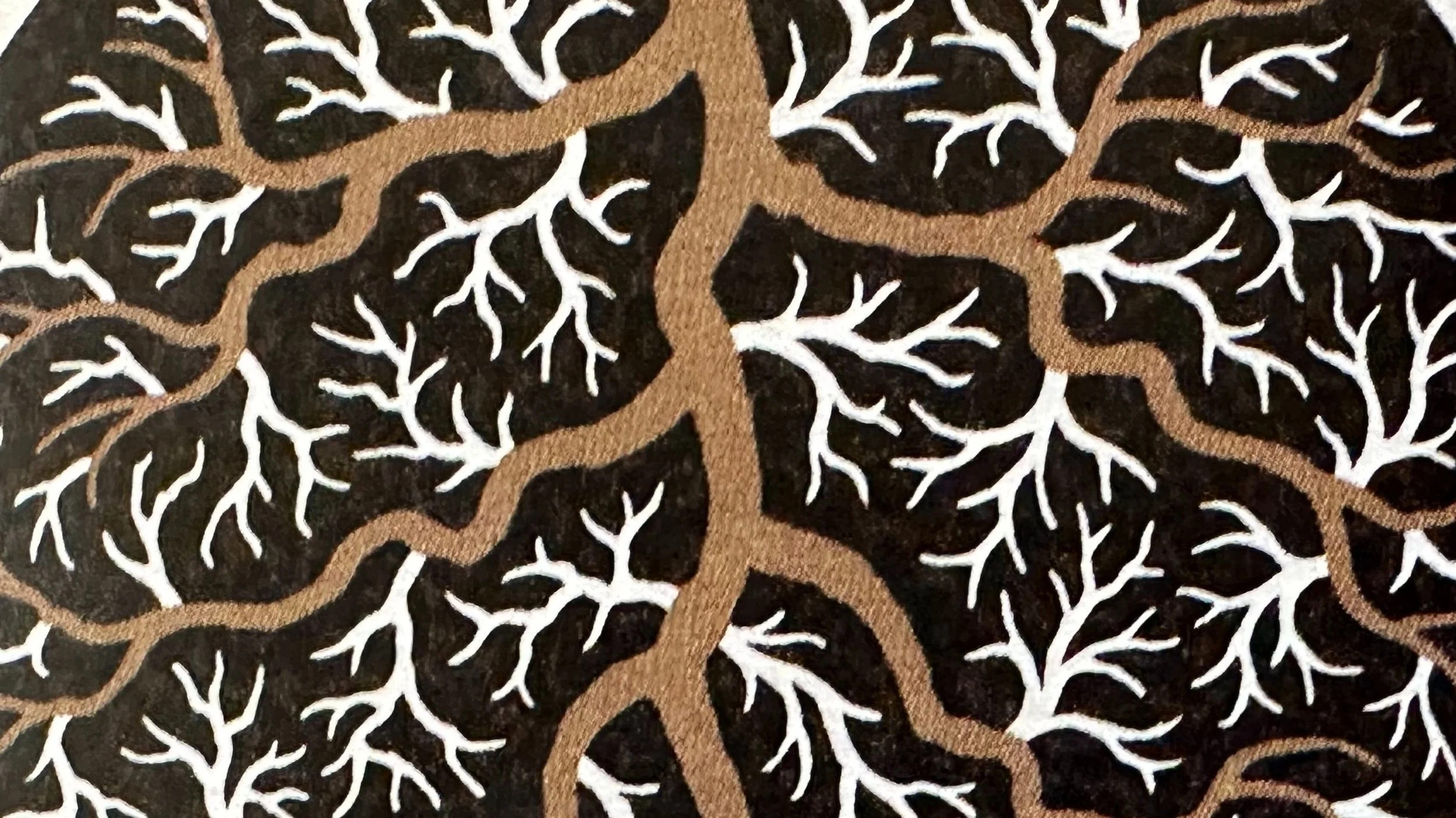 Miracle of Mycorrhizae