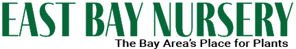 East Bay Nursery