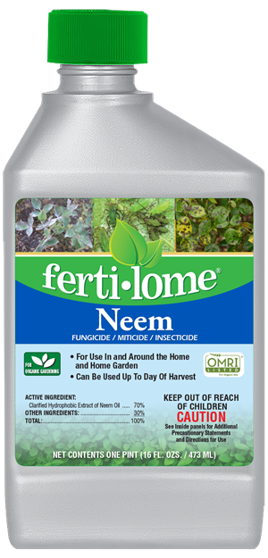 an image of a bottle of Fertilome Neem Oil