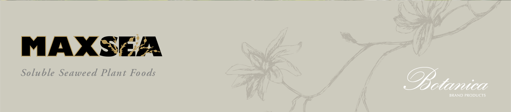 Maxsea Fertilizers