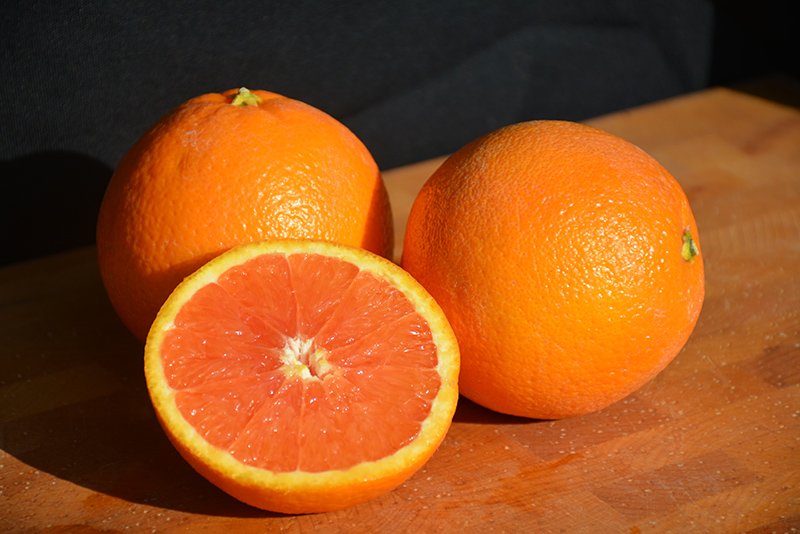 Orange 'Cara Cara'
