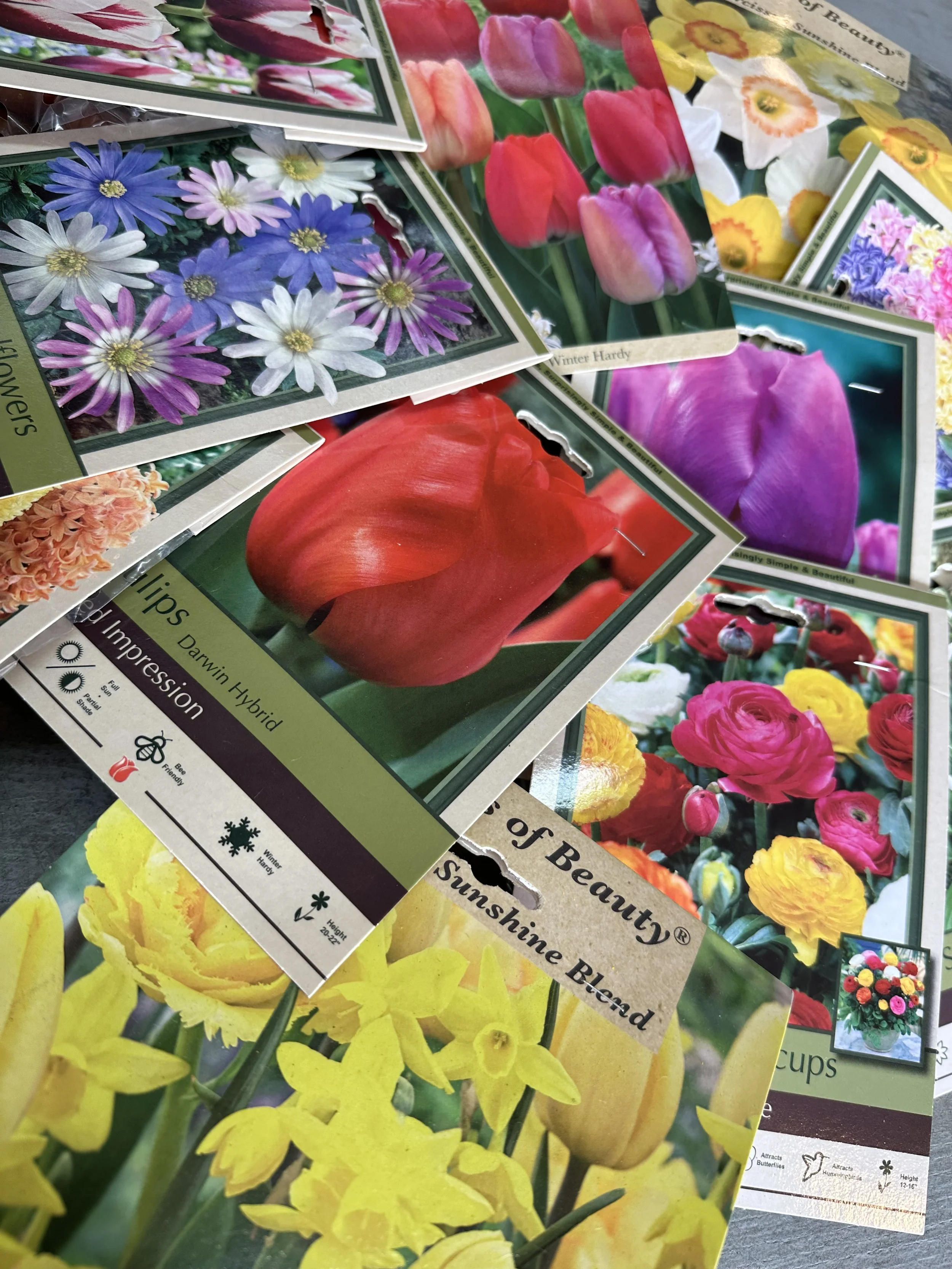 An image showing the various packages of bulbs we offer at the nursery.