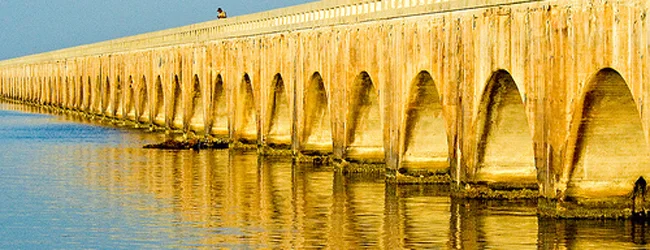 The 4 C's of Catalytic Connections