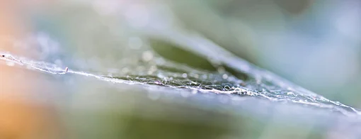 My Top 10 Social Media Moments