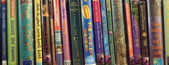 The Simplicity This Side of Complexity...