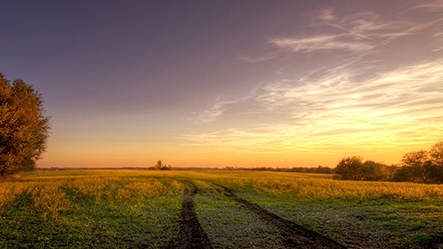 On Revelation: Seek the Lord Early