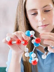 Models, What Models?