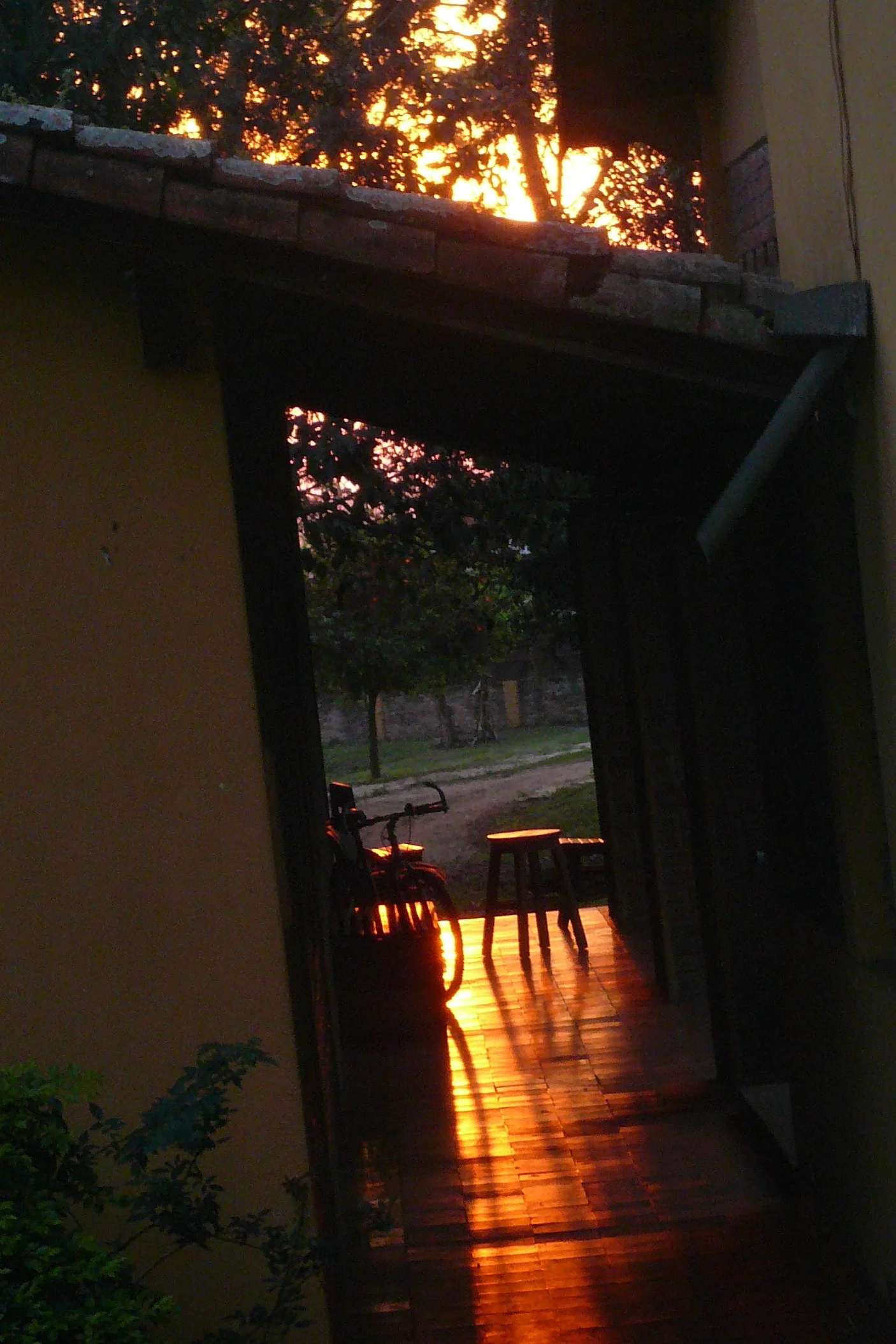 A Proper Introduction...