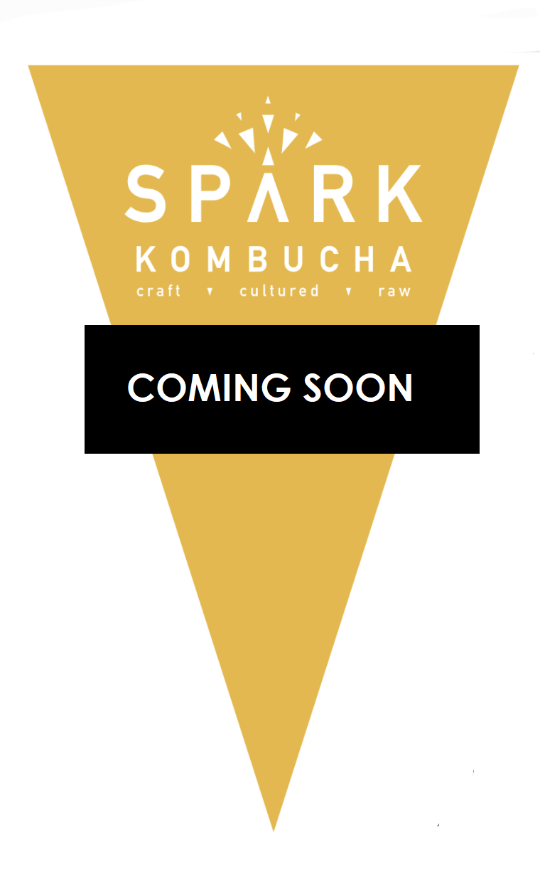 EARTH ROOTED Filtered water, organic white tea, organic black tea, organic kombucha culture, organic cane sugar, organic tumeric, organic ginger infusion.