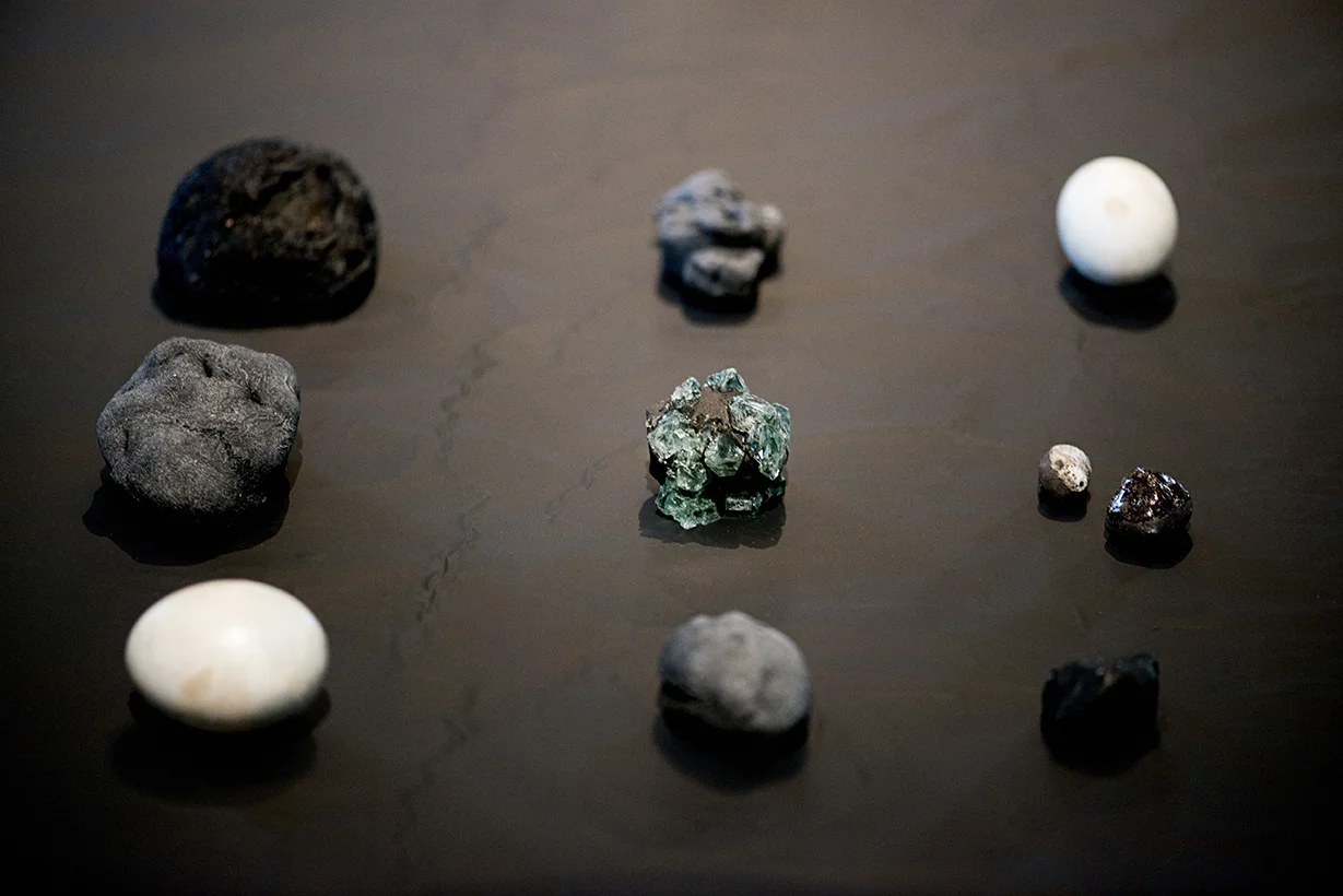 Metamorphoses, 2016-2016. Installation at The Wellcome Collection in collaboration with Louise Waite and Alison Taylor. Photo by The Wellcome Collection.