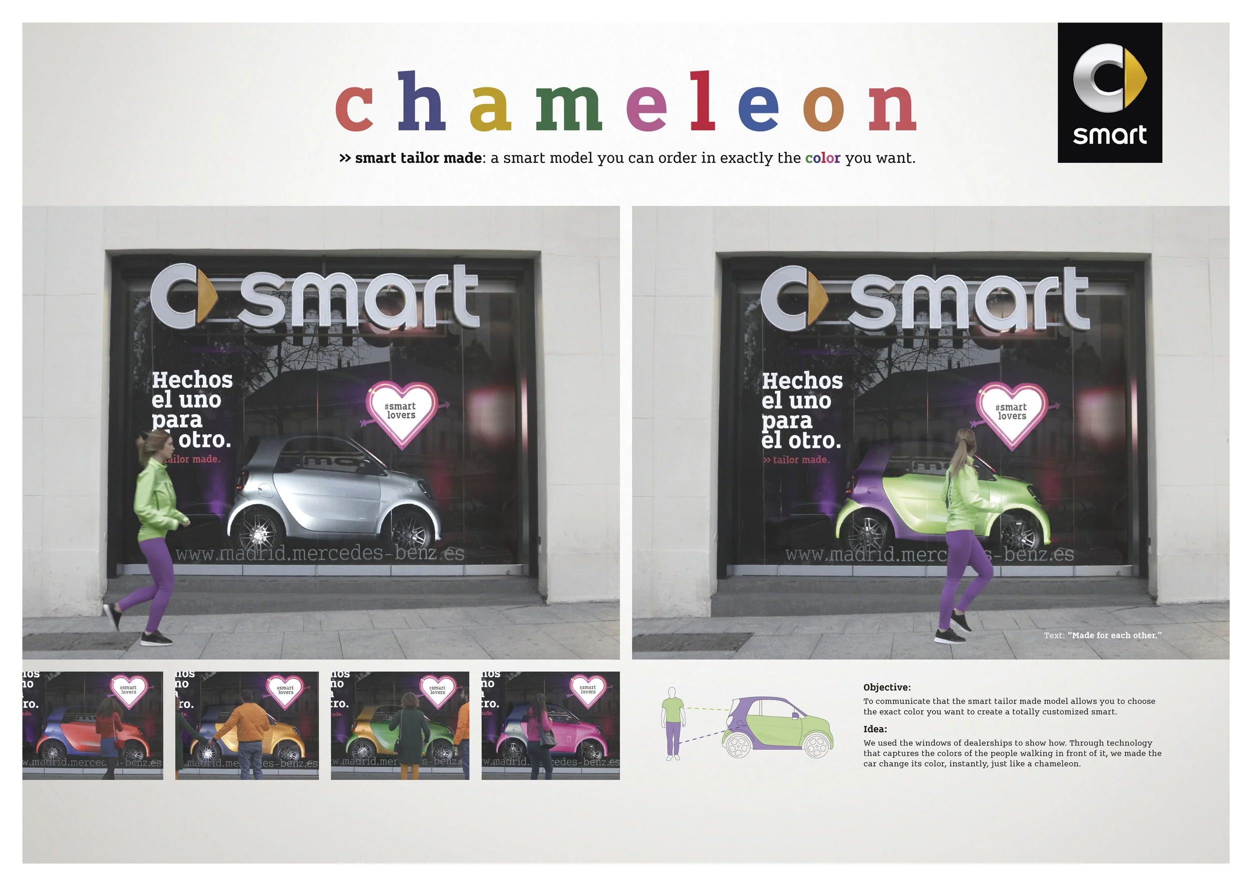 2. Chameleon Board. Smart.jpg