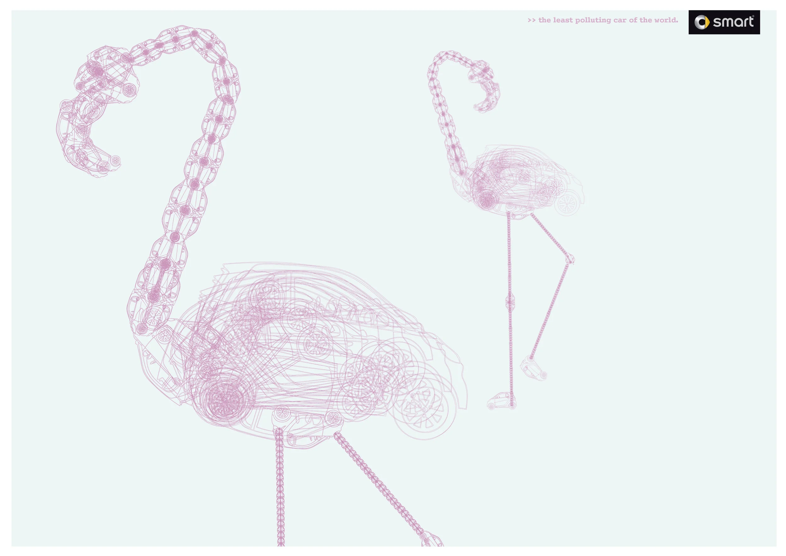 11. Flamingo. SMART.jpg