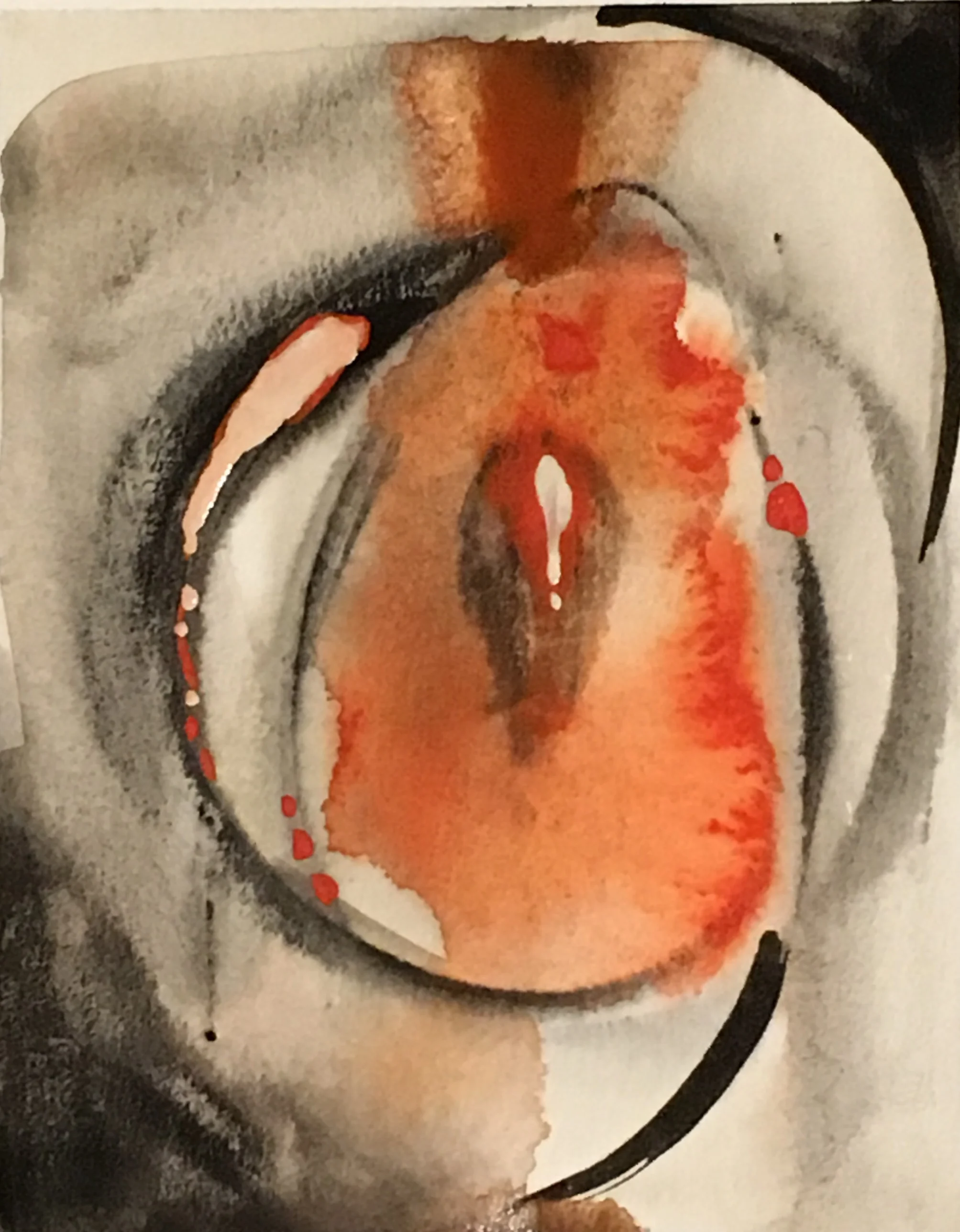 Koi IV