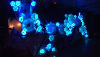 23755275_10155832626921241_8470969825268519717_n.jpg