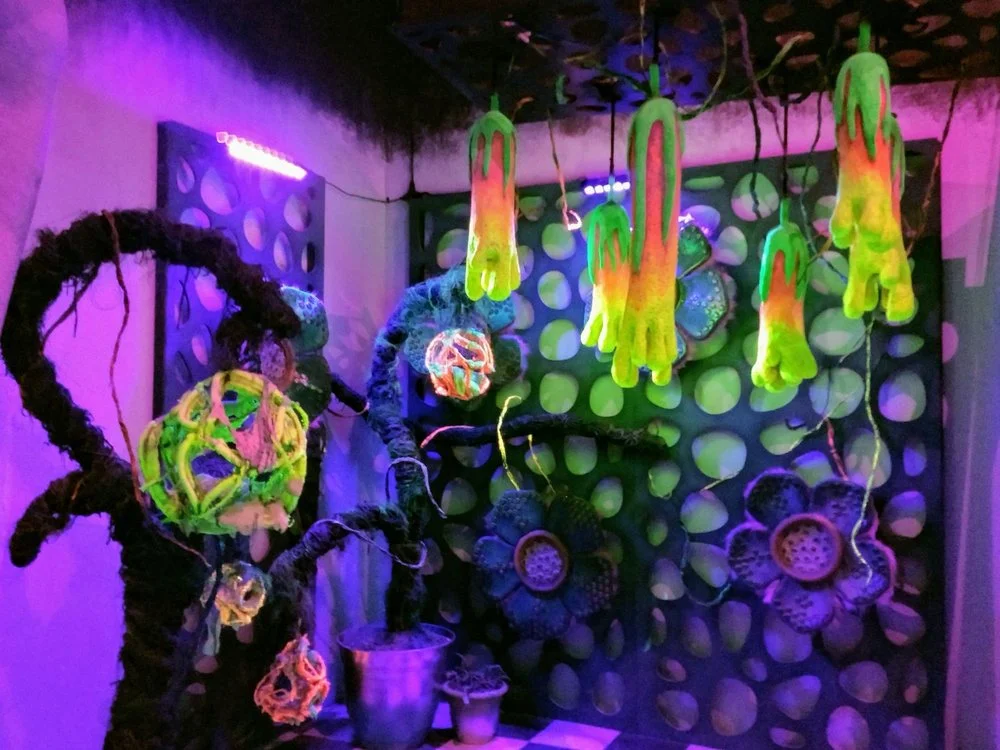 conservatory1.jpg