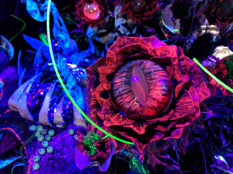 eyeballplant1.jpg