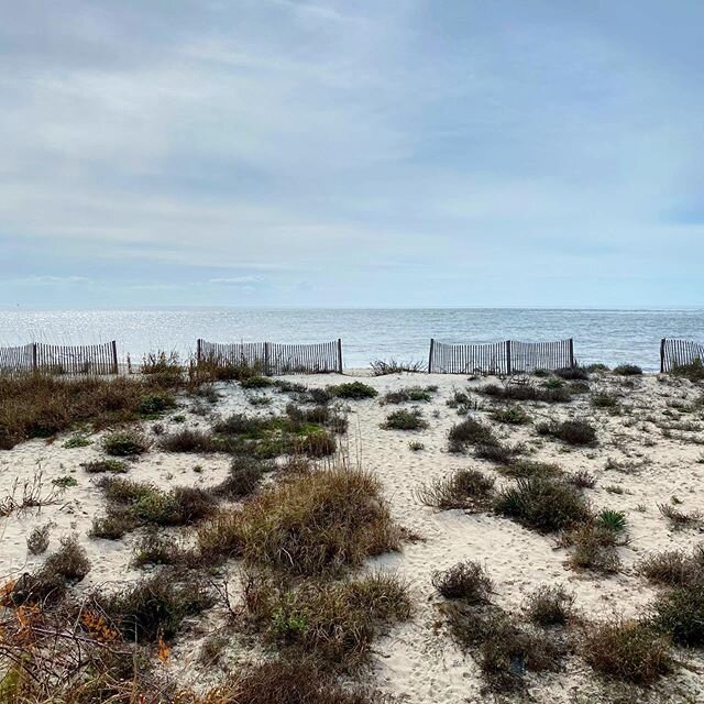 Not a bad view for today&rsquo;s consultation! 😍🏝
⬇️
#edistobeach 
#workandplay 
#freeconsultation 
#interiordesign 
#homedesign 
#homerenovation 
#beachhouse 
#cedarvinedesign