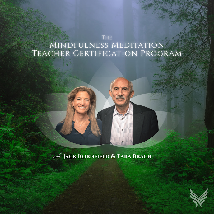 Become a Certified Mindfulness Meditation Teacher 