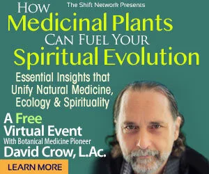 Harnessing the Power of Medicinal Plants 