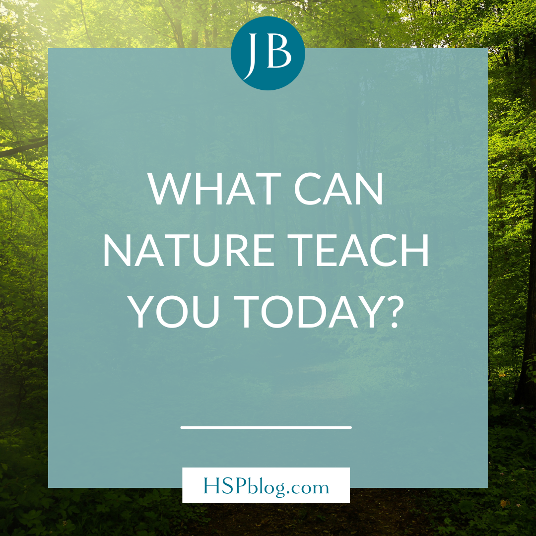 What Can Nature Teach You Today?