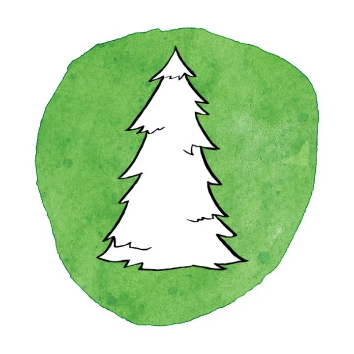 Lil' Forester STEM Camp